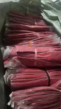 Red tipped polo shirts in factory original plastic wrapped bundles for wholesale distribution